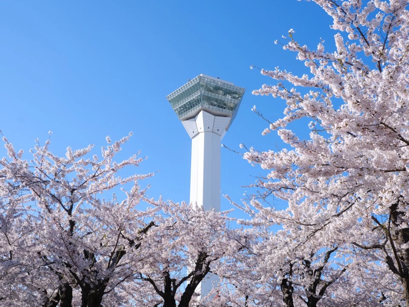 Goryokaku Tower