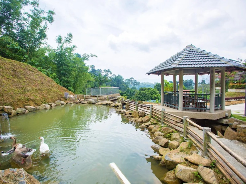 Garden pool