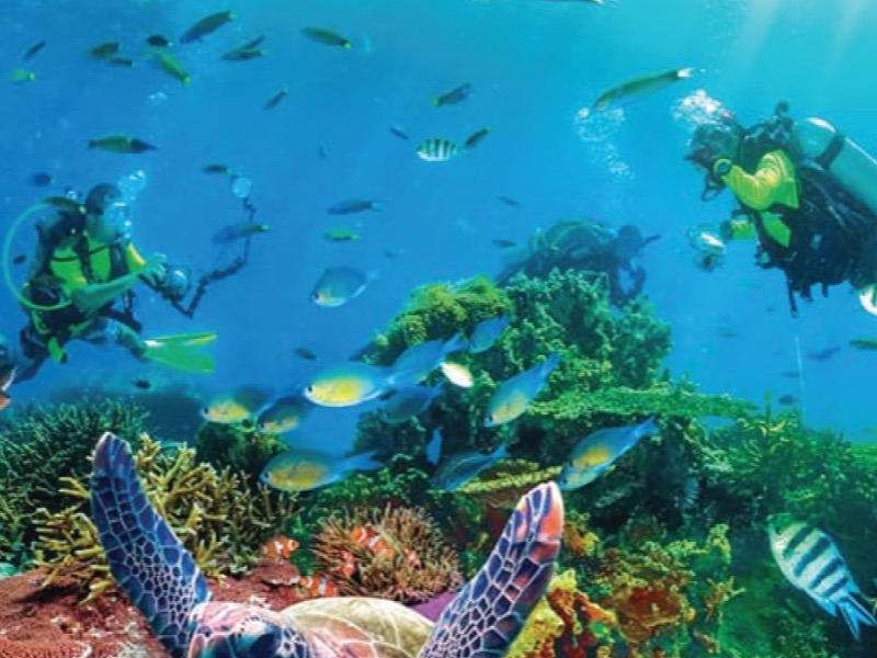 Snorkeling