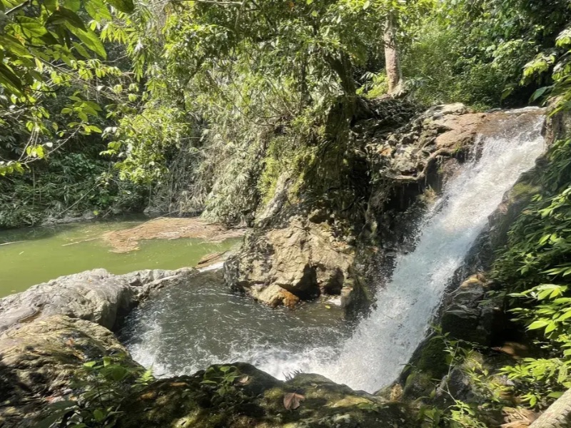 Jungle trek at Sungai Ruok
