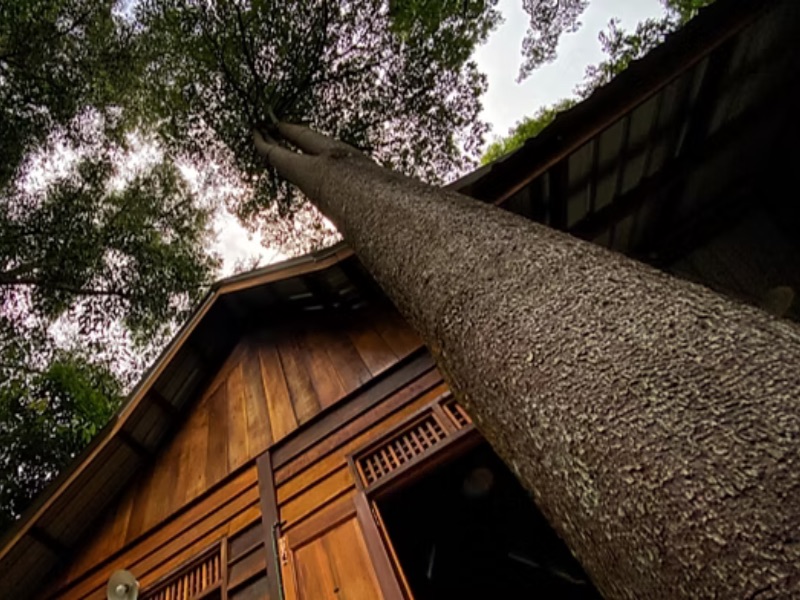 Temenggor House