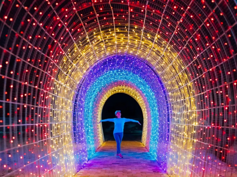 Lightning Garden