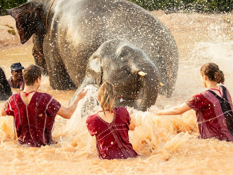 MudbathwithElephant