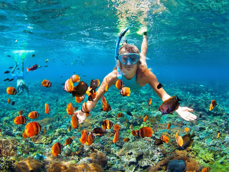 Snorkerling with Pool of fish