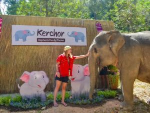Kerchor Elephant