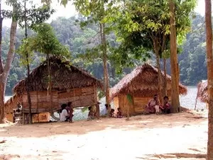 Temenggor Lake Orang Asli Village