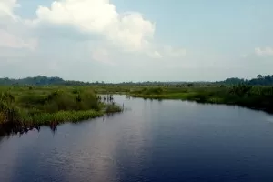 Lake Bera pahang