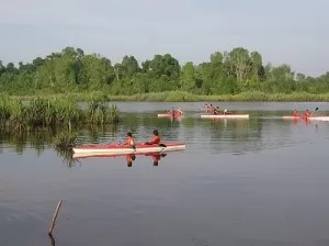 Lake Bera pahang kayak
