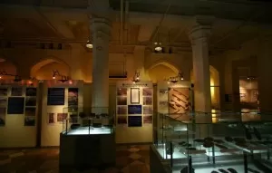 National History Museum display