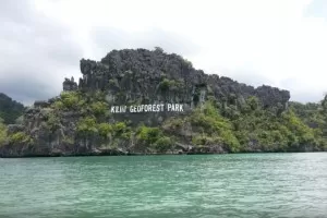 Langkawi Mangrove Kayak Tour