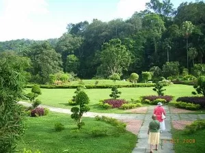Botanical Gardens Penang