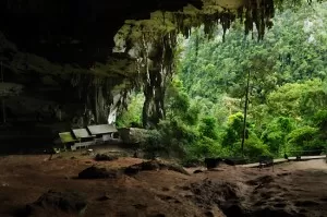 Niah National Park cave