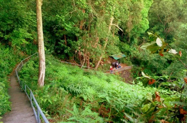 Soga Perdana Recreational Forest