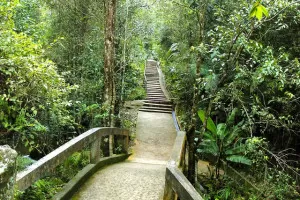 Kinabalu Park