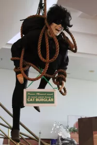 Sarawak Cat Museum