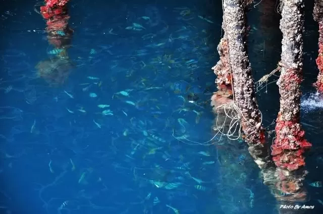 Snorkelling 6