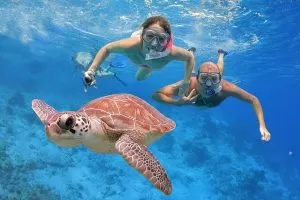 Redang Reef
