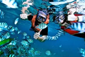 Redang Reef