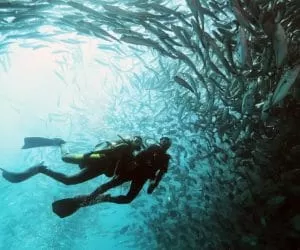 kapalai dive resort