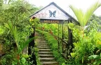 Kipandi Butterfly Park , Kota Kinabalu