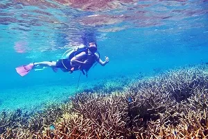 Tenggol Island Beach Resort Diving