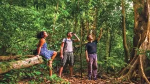 Langkawi-Jungle-Trekking-Tour-2