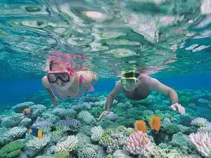 snorkeling redang lagoon
