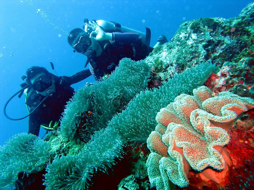 Redang Laguna Resort Scuba Diving