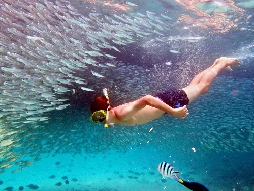 Redang Laguna Resort Snorkeling