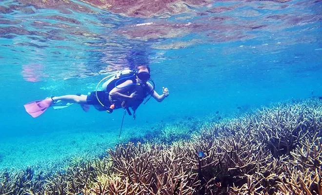 Tenggol Coral Beach Resort Diving