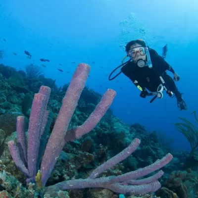 perhentian island resort