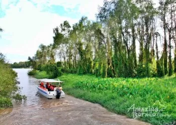 Sabah klias river