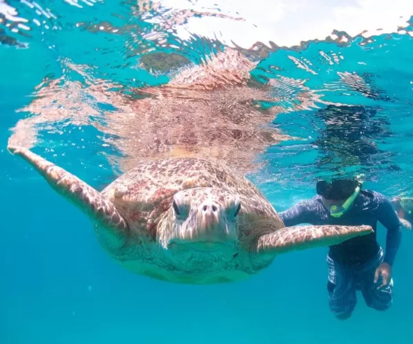 Perhentian Coral View Island Resort