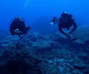 Tenggol Coral Beach Resort Snorkelling