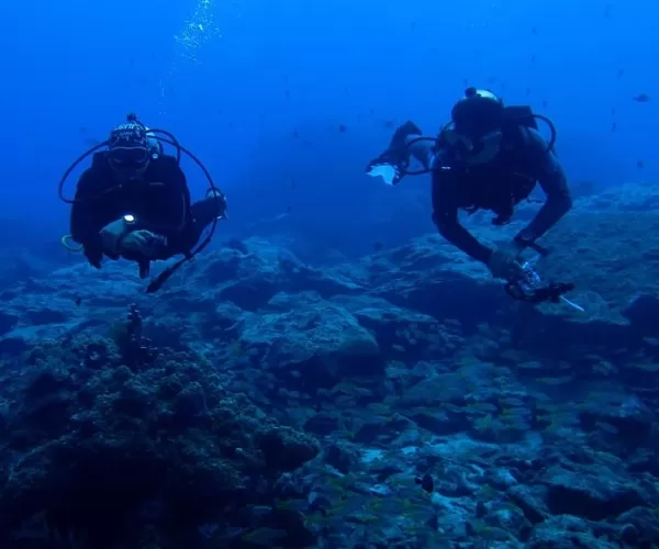 Tenggol Coral Beach Resort Snorkelling