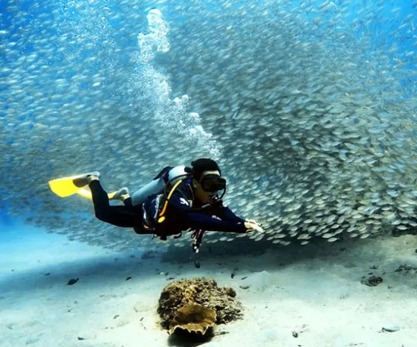 the barat perhentian