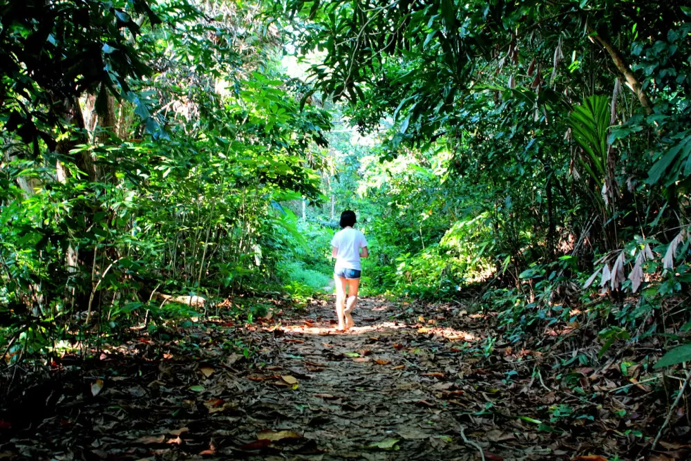 jungle trekking pulau redang