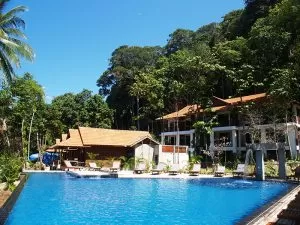D Coconut Lagoon Resort Swimming Pool