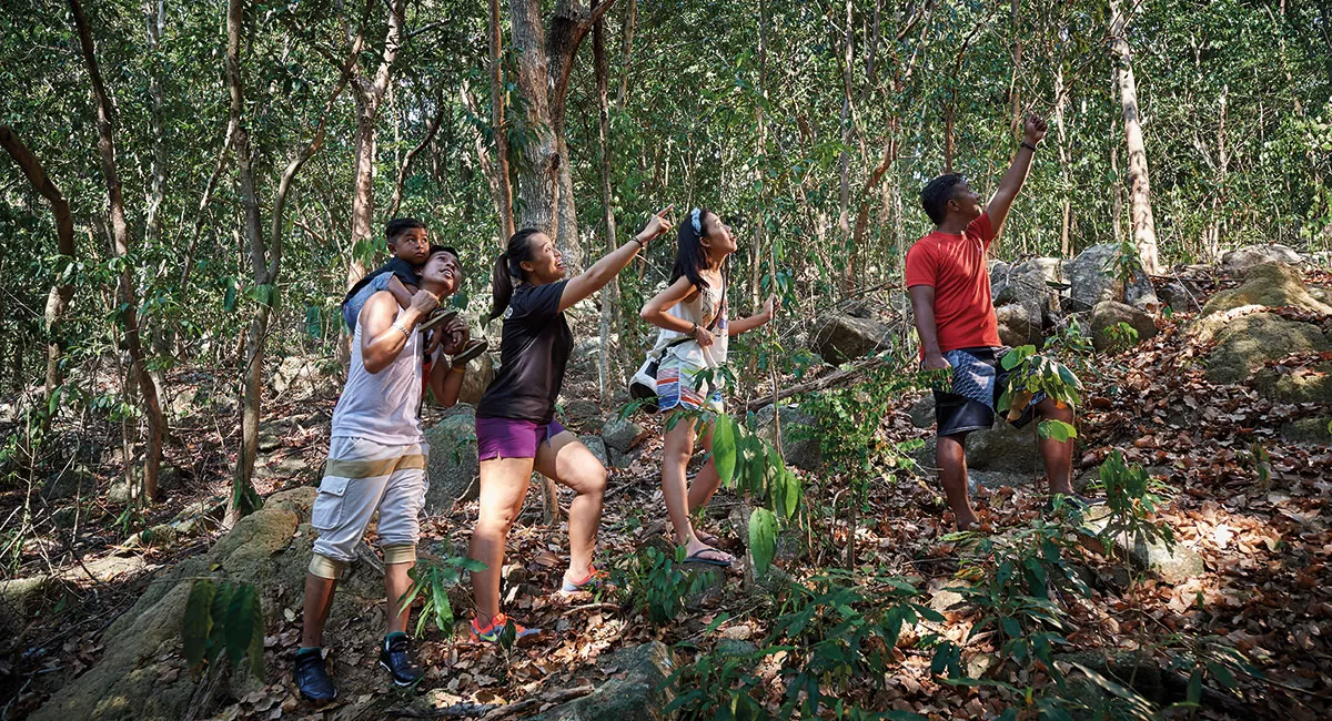 Redang Laguna Resort Jungle Trekking