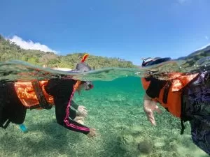 Lanting Beach Resort Snorkelling