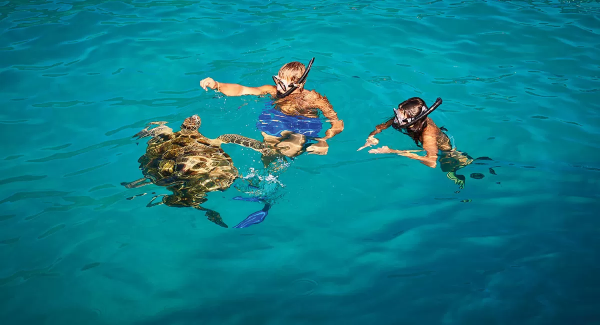 Redang Laguna Resort Snorkelling