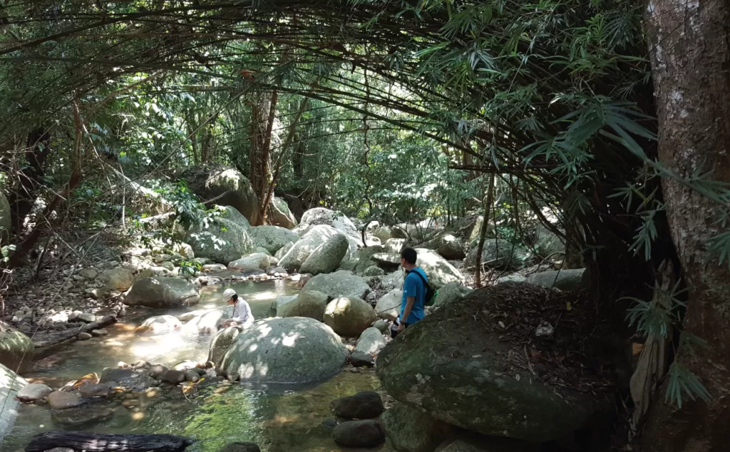 tioman island activities trekking jungle stream