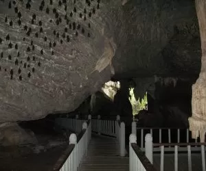 langkawi homestay