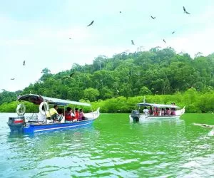 langkawi homestay