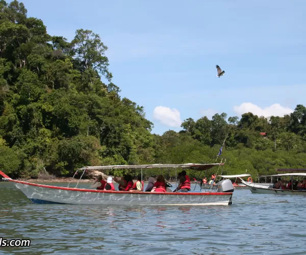 langkawi island hopping