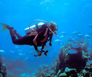 langkawi pulau payar Diving