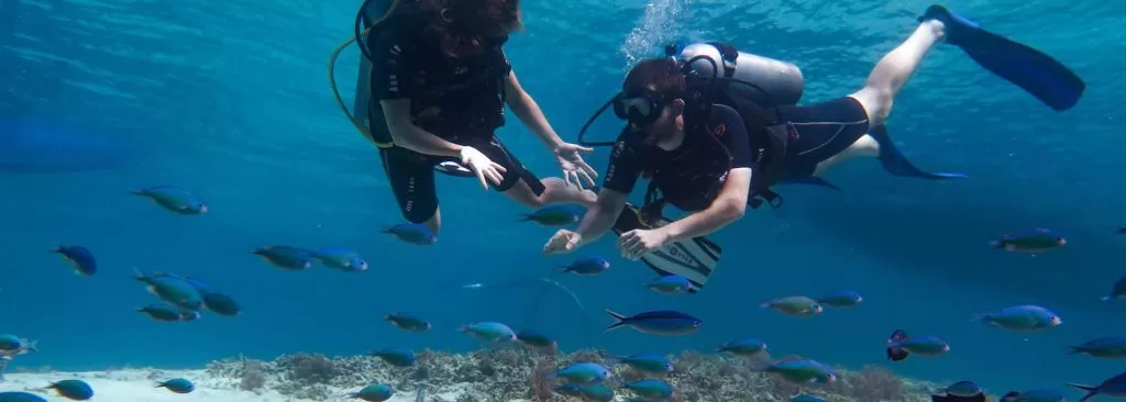 Langkawi Pulau Payar Diving Activity
