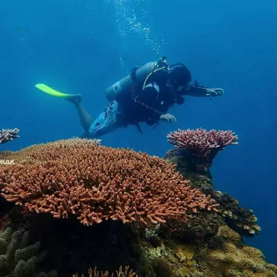 The Barat Tioman