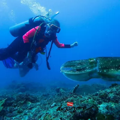 The Barat Tioman