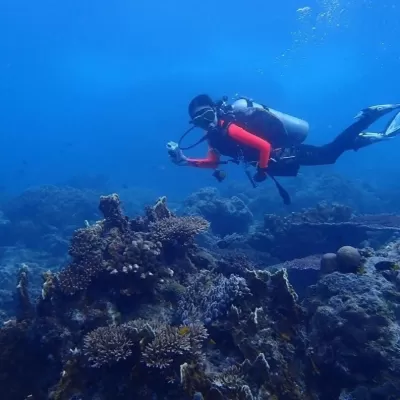 The Barat Tioman